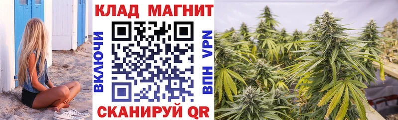 Псилоцибиновые грибы Белоозёрский