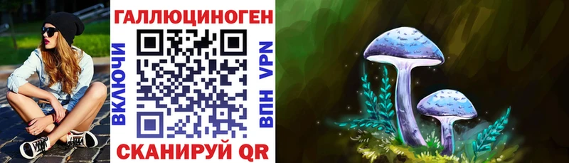 Псилоцибиновые грибы Cubensis  купить закладку  Белоозёрский 
